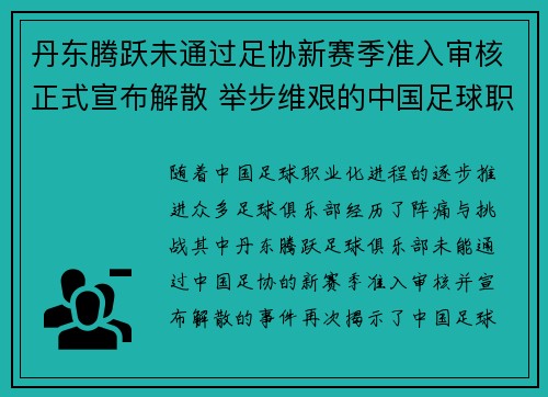 丹东腾跃未通过足协新赛季准入审核正式宣布解散 举步维艰的中国足球职业化困境再现